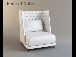 remind 3D Model