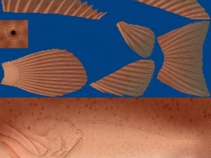 fish tower 3D Model