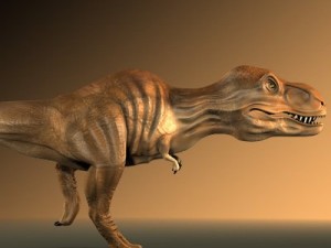 tyrannosaurus rex 3D 模型