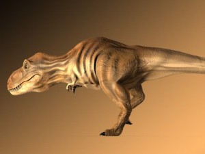 tyrannosaurus rex 3D 模型