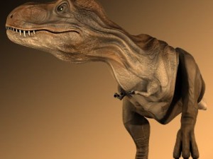 tyrannosaurus rex 3D 模型
