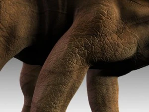 アンキロサウルス 3Dモデル