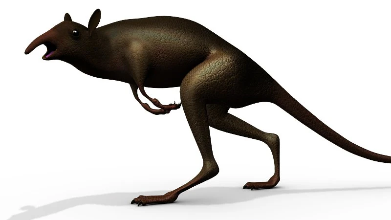 leptictidium dinosaur 3D Model .c4d .max .obj .3ds .fbx .stl .blend