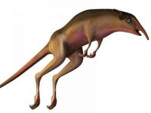 leptictidium dinosaur 3D मॉडल