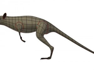 leptictidium dinosaur 3D मॉडल