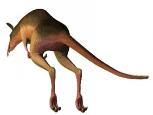 leptictidium dinosaur 3D Model