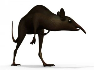 leptictidium dinosaur 3D Model