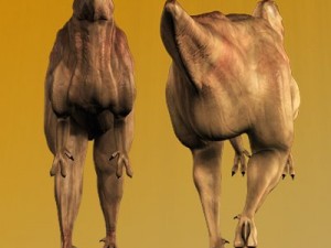 hadrosaurus model 3d 3D Model
