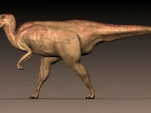 ハドロサウルスモデル 3Dモデル 3Dモデル