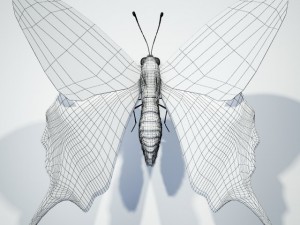 butterflyswallowtail 3D 모델