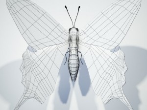 butterflyswallowtail 3D 모델