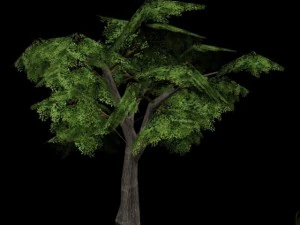 biggest village set collection 3D Model