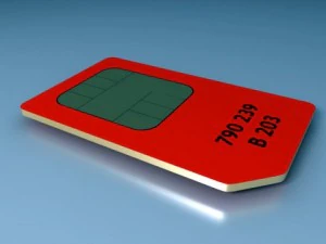 सिम कार्ड और कैरियर के साथ सिम कार्ड 3D मॉडल