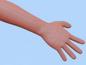 anime boy 2 3D Model