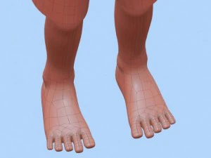 anime boy 2 3D Model