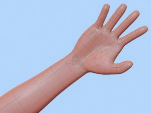 anime boy 2 3D Model