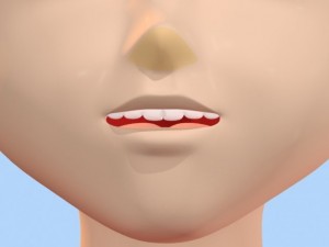 anime girl 1 3D मॉडल
