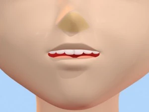 anime girl 1 3D Model