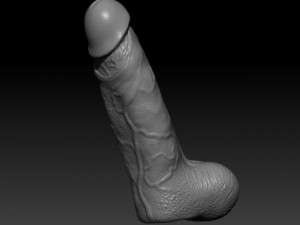 hd realistic penis for 3d printer 3D Print Model