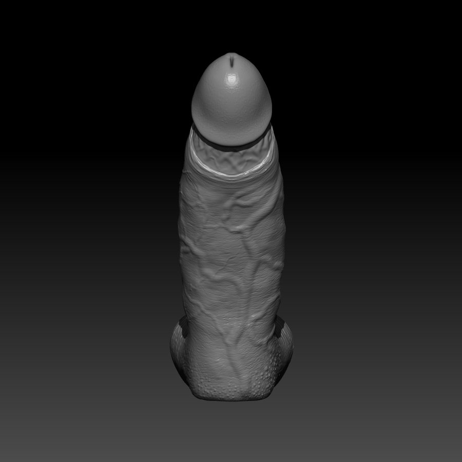 Anatomy. hd realistic penis for 3d printer 3D Print Models. 