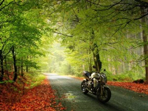 kawasaki er6n Modello 3D