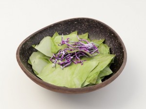 salad 3D Модель