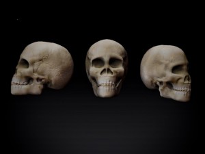 skull Modelo 3D