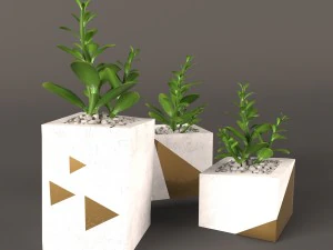 посадить денежное дерево 3D Модель