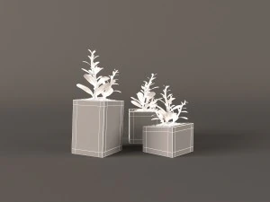 plant money tree 3D Model