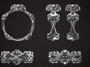 Ossos do cr&acirc;nio anel modelo de impress&atilde;o 3D Modelo de Impressão 3D