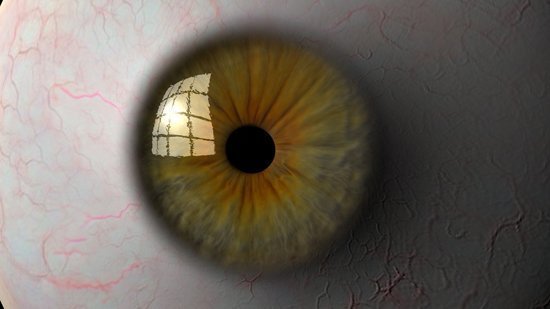 eyeball 3D Модель .c4d .max .obj .3ds .fbx .stl .blend 