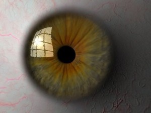eyeball Model 3D