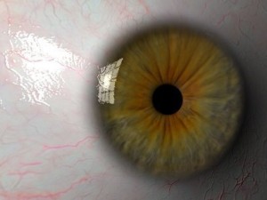 eyeball 3D Модель