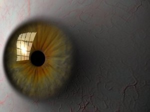 eyeball 3D Модель