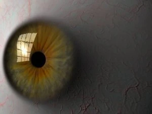 eyeball 3D Model