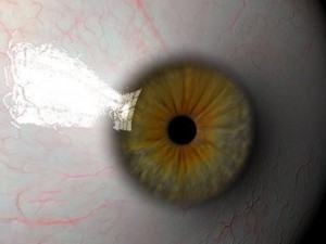 eyeball 3D Модель