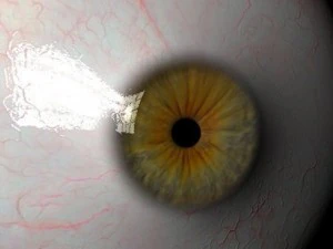 eyeball 3D Model