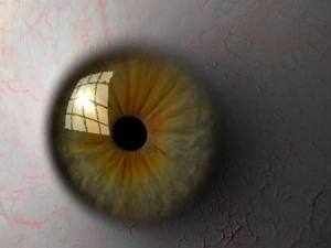 eyeball 3D Model