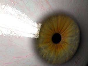 eyeball 3D Модель