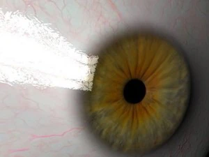 eyeball 3D Model