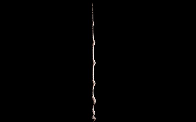 elder wand 3D Модель .c4d .max .obj .3ds .fbx .stl .blend 