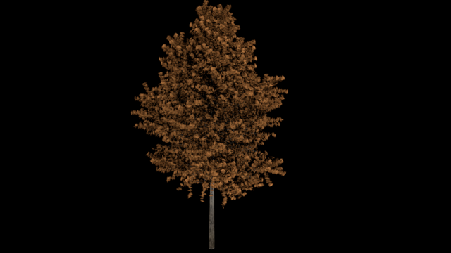 high poly autumn tree 3D Model .c4d .max .obj .3ds .fbx .stl .blend 