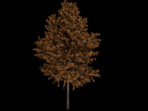high poly autumn tree 3Dモデル