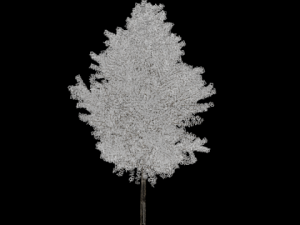 high poly autumn tree 3D Model