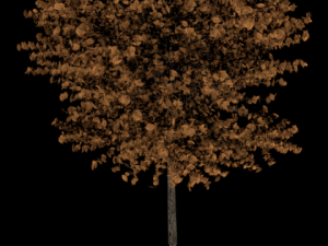high poly autumn tree 3D Model