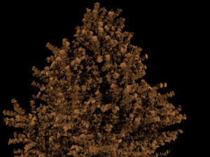 high poly autumn tree 3D Model