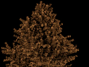 high poly autumn tree 3D Model