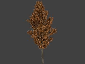 high poly autumn tree 2 3Dモデル