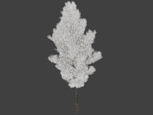 high poly autumn tree 2 3D Model