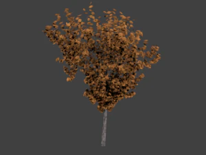 jesienne drzewo high-poly 3 Model 3D